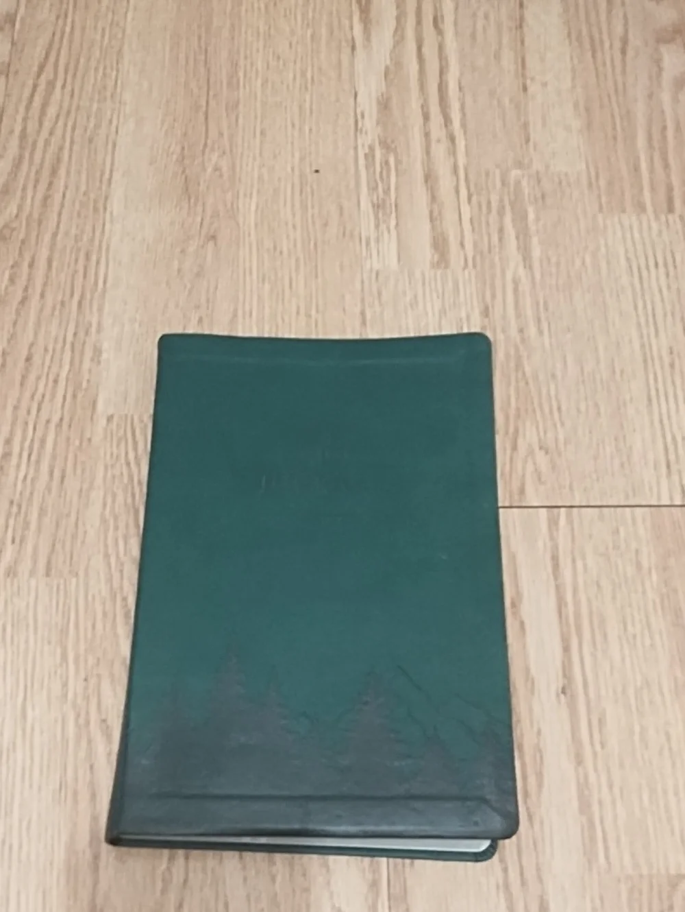 Leather Bound 5 Year Undated Journal/Calendar/Planne